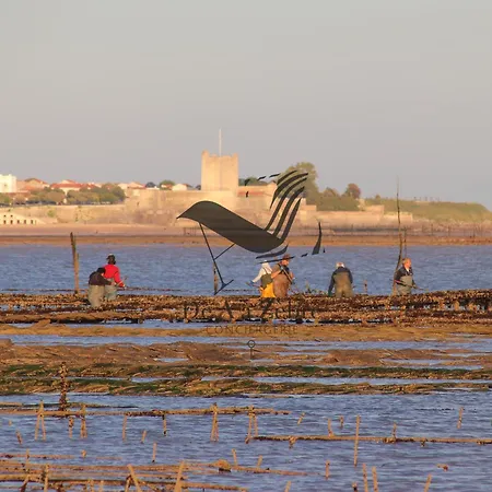 Le Boyard - En Plein Coeur De Avec Vue Sur L'ocean * Fouras